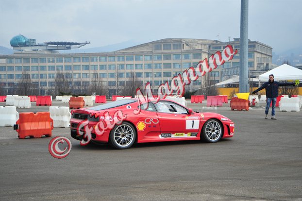 DSC_8232.jpg